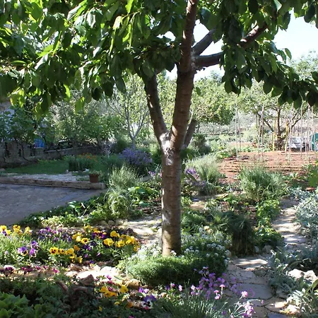 By The Sea Tkon, Pasman - 820 * Ткон