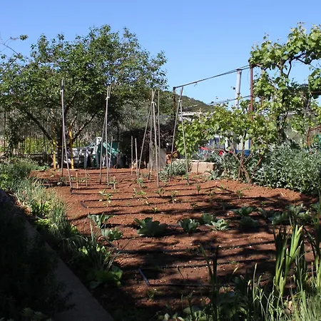 By The Sea Tkon, Pasman - 820 Апартаменты