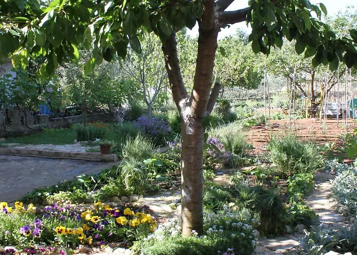 By The Sea Tkon, Pasman - 820 * Tkon