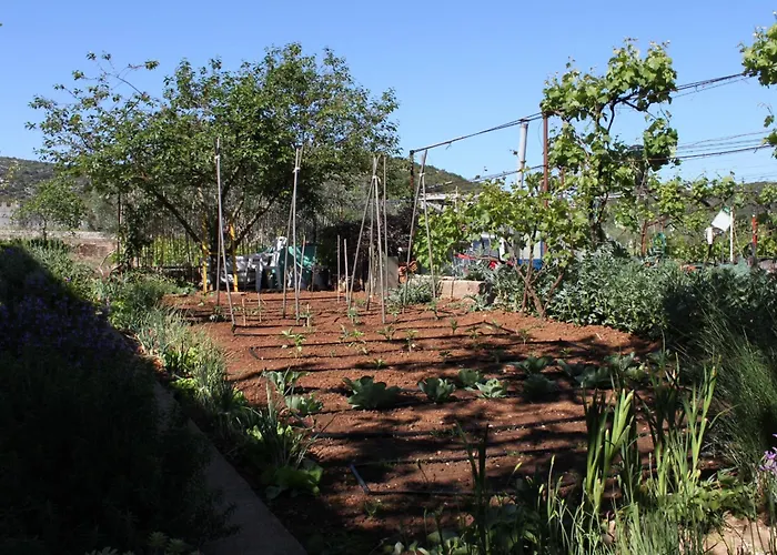 By The Sea Tkon, Pasman - 820 Apartman